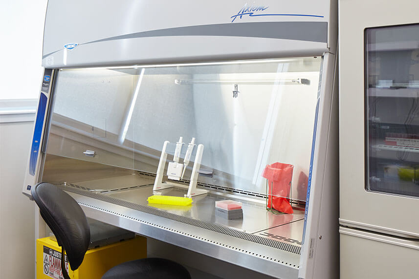 Biosafety Cabinet Fume Hood in a Commercial Lab