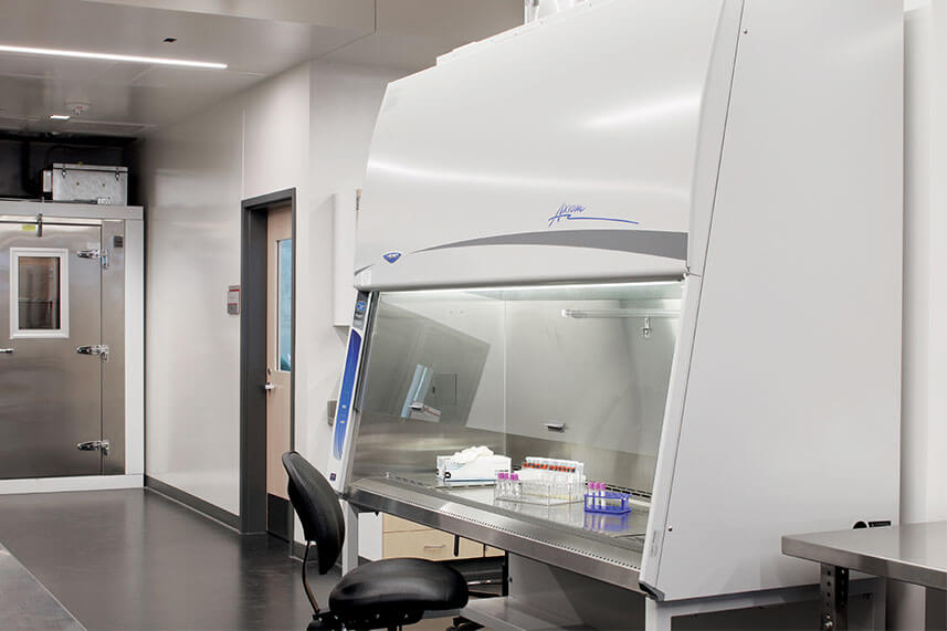 Biosafety Cabinet Fume Hood in a Commercial Lab