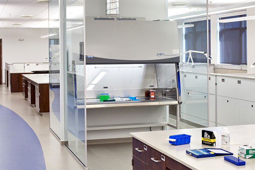 Biosafety Cabinet Fume Hood in a Commercial Lab