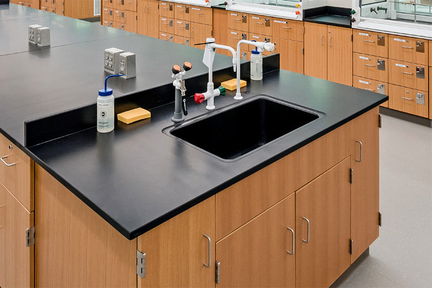 Sink + Fixtures in a Commercial Lab