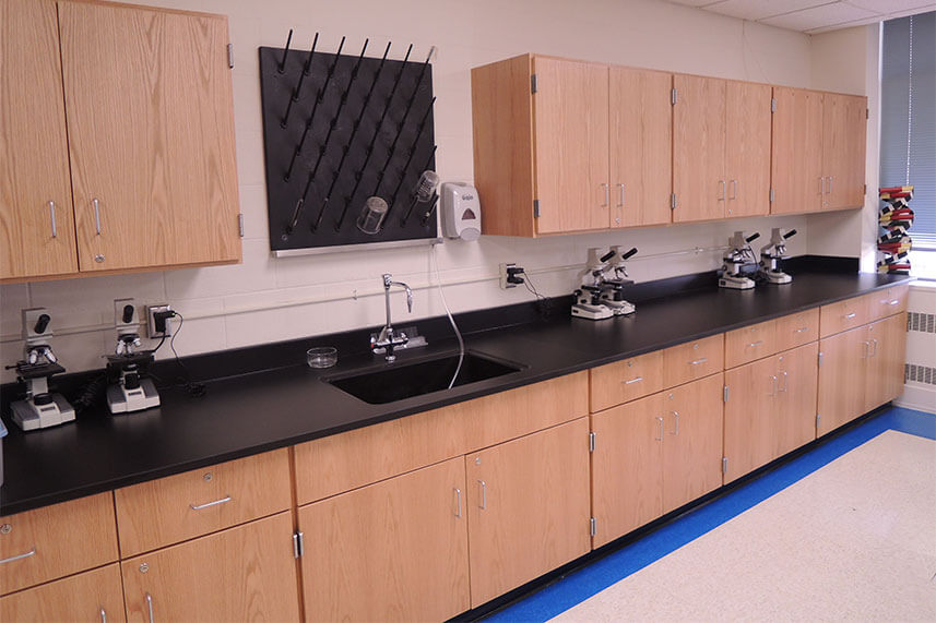 Wood Casework for Educational Labs